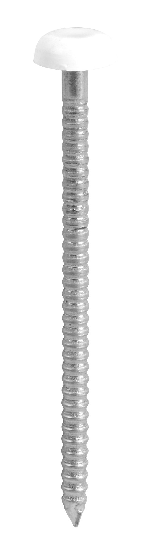 TIMCO PN40W Polymer Headed Nail 40mm - White (Box of 100)