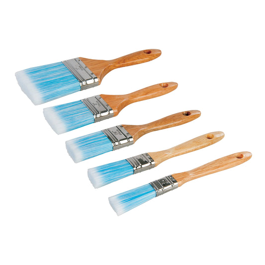 Synthetic Brush Set 5pce