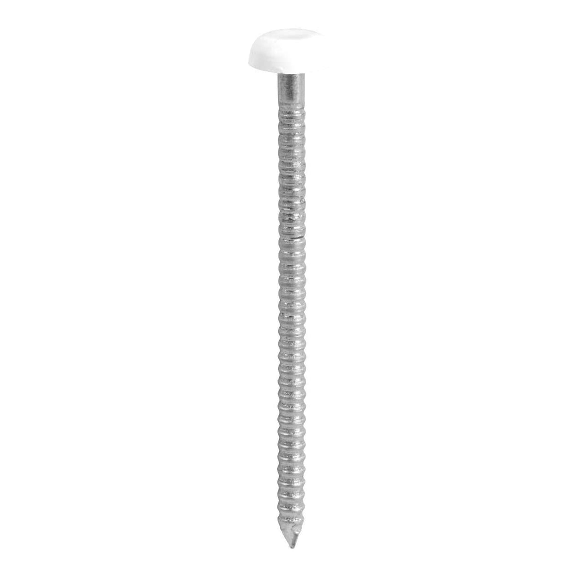 TIMCO Polymer Headed Pins A4 Stainless Steel White - 25mm