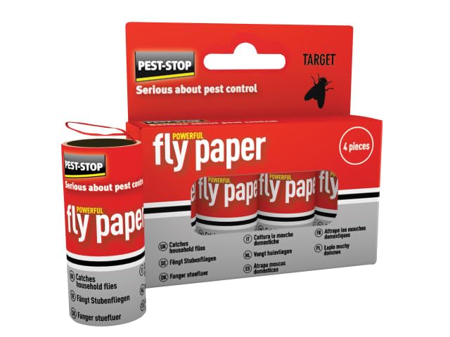fly paper