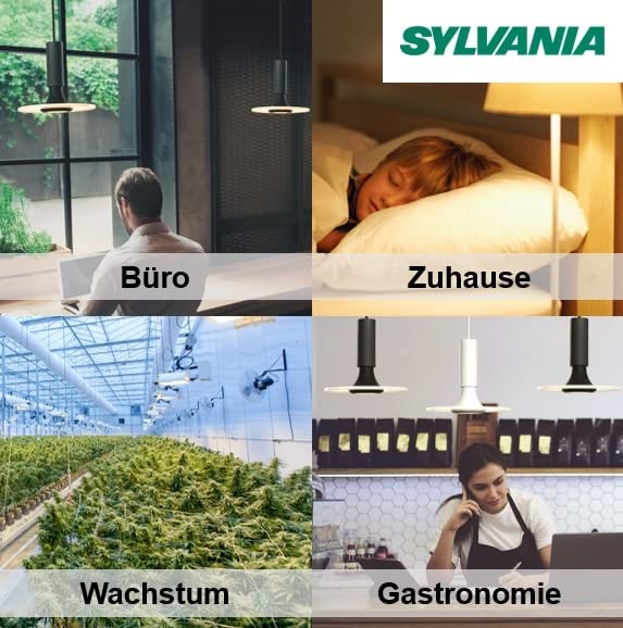 Sylvania Circular 22W 8" Daylight 865