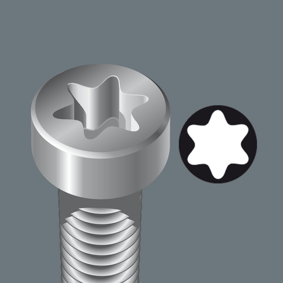 Wera Long Bits